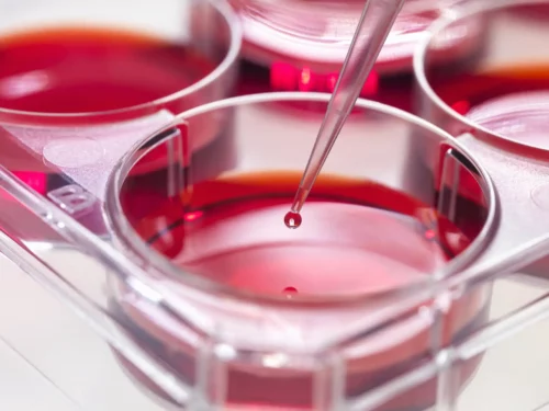 細胞治療：新興療法，未來可期